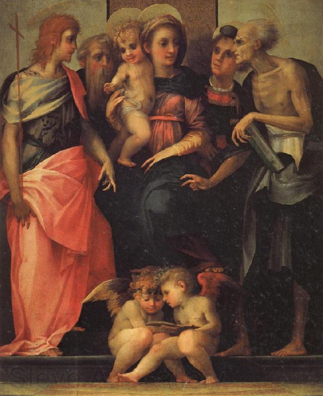 Rosso Fiorentino Madonna Enthroned with SS.John the Baptist,Anthony Abbot,Stephen,and Benedict